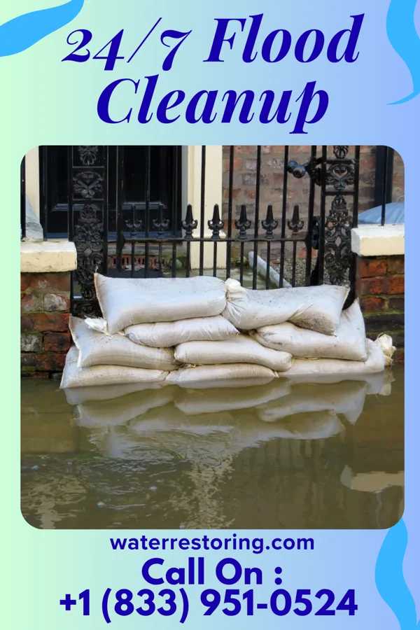 24/7 Flood Cleanup in Sunfield, MI
