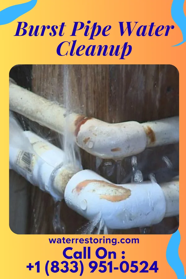 Burst Pipe Water Cleanup in Sunfield, MI