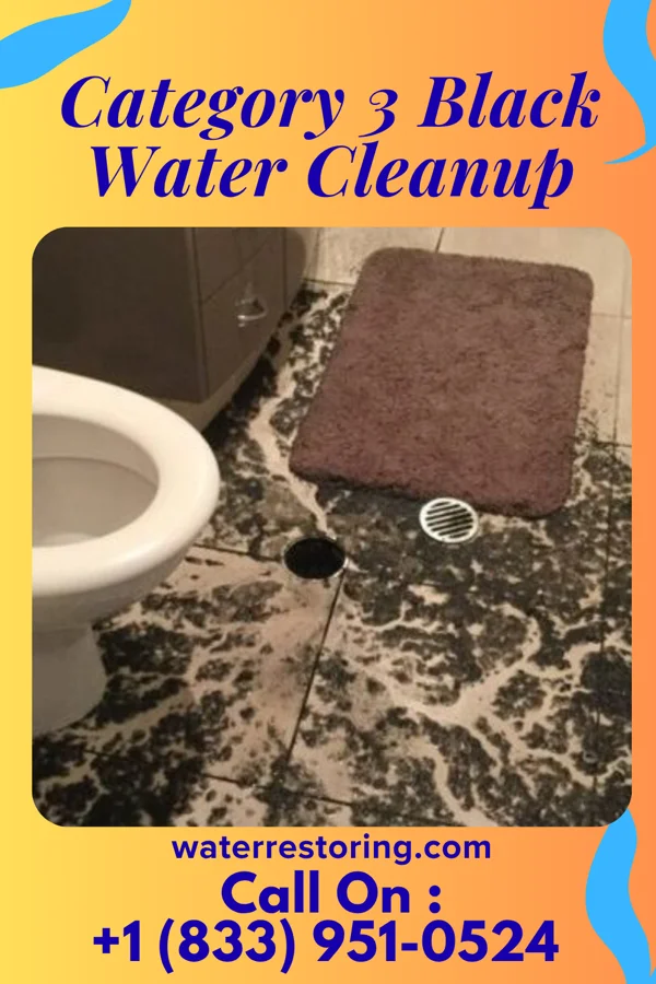 Category 3 Black Water Cleanup in Sunfield, MI