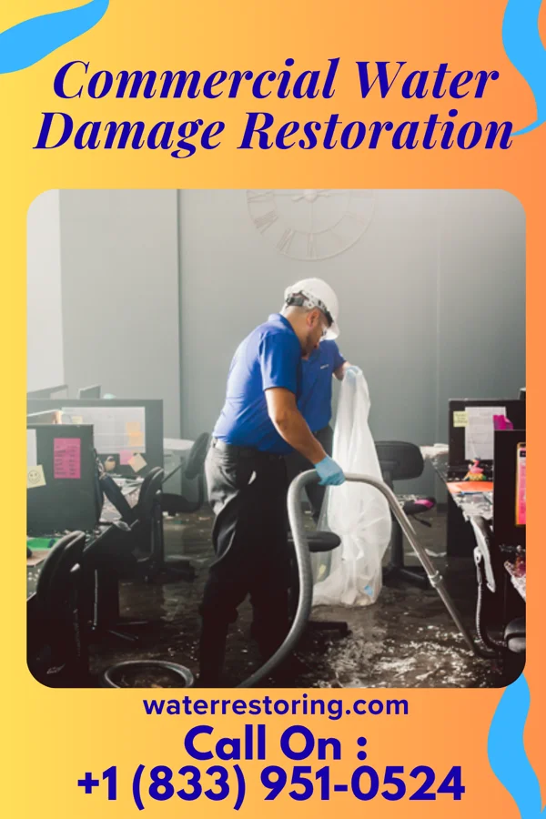 Commercial Water Damage Restoration in Sunfield, MI