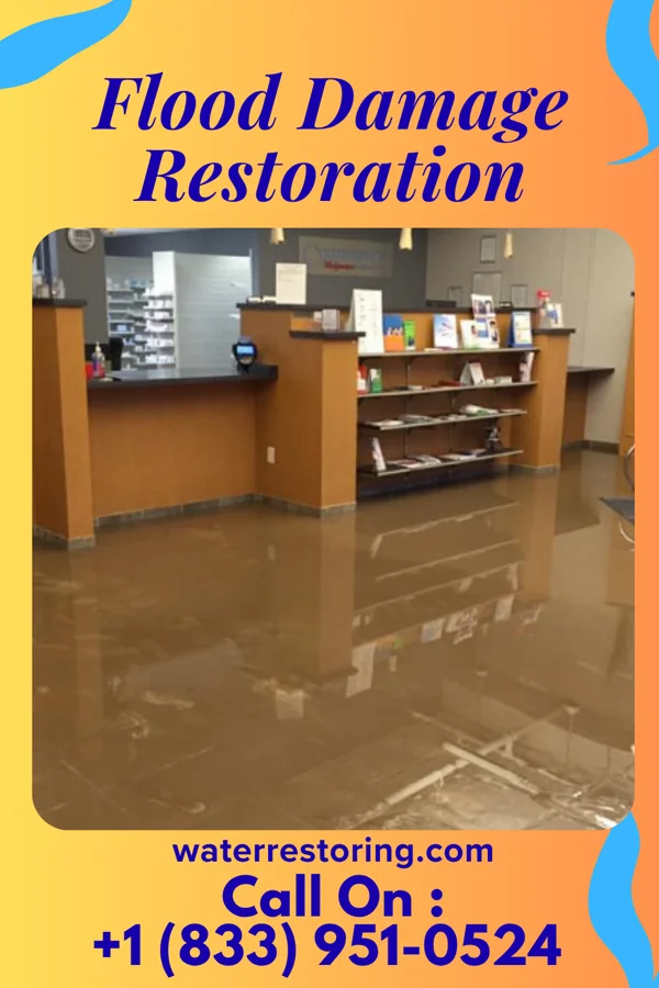 Flood Damage Restoration in Sunfield, MI