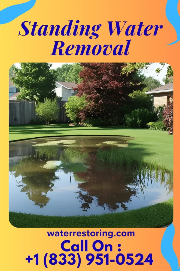 Standing Water Removal in Sunfield, MI